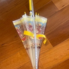 子供用　傘とレインコートのセットの画像