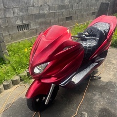 マジェスティー250 の画像