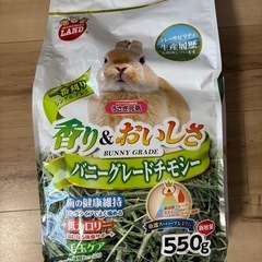 バニーグレードチモシー　マルカンミニマルランド