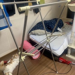 室内用物干し