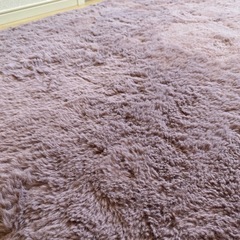 カーペット100×140の画像