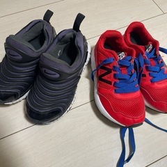 ナイキダイナモフリー