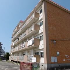 バルコニーが127.5m2、ドッグランできる広さです！松山市福音寺 清水マンション501号 3LDK、7.4万円。LDKも16畳の広さ。インターネット無料・ケーブルＴＶ無料。ペットOK。 - 不動産