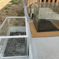 ［お話中］水槽引き取ってください