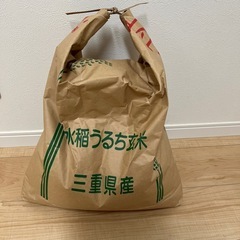 令和6年度コシヒカリ玄米10キロ
