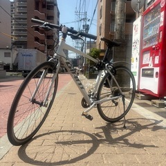 GIANT ESCAPE RX 