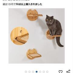 キャットウォーク　新品未使用