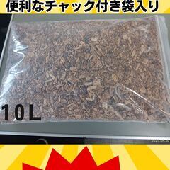 きくらげ廃菌床 10L チャック付き袋入り
