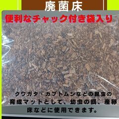きくらげ廃菌床 10L チャック付き袋入りの画像