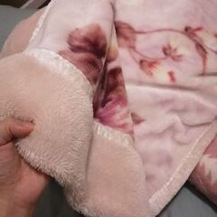 高級毛布　泉大津　毛布と敷きパッドの画像