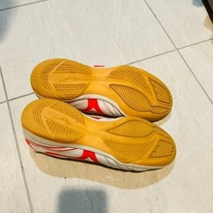 ミズノ　モナルシーダ　26.0cm　の画像