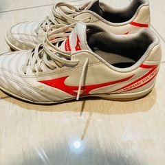 ミズノ　モナルシーダ　26.0cm　の画像