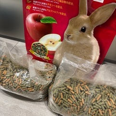 うさぎのエサと水飲みの画像