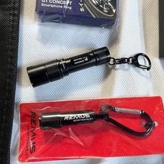 TEIN非売品トートバッグの画像