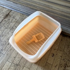 猫　ペット　トイレの画像