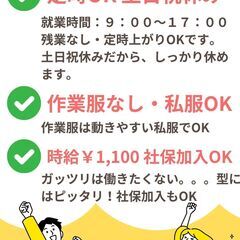 安心して働ける気軽な検品や仕分け作業の画像