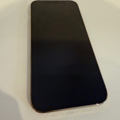 iPhone12Pro 256GB 