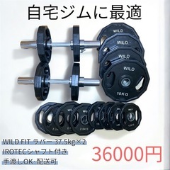 WILD FIT ラバーダンベル 37.5kg×2セット + I...