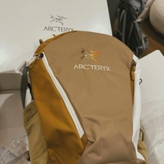 断捨離:新品ARC'TERYX  アークテリクス マンティス 2...