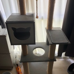 キャットタワー　大型猫の画像