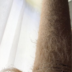 キャットタワー　大型猫の画像