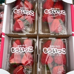 🍓もういっこ入荷しました！✨の画像