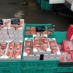 🍓もういっこ入荷しました！✨の画像