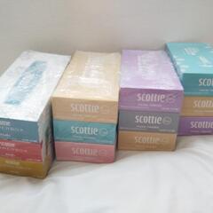 新品☆scottieBOXティッシュ12個セット まとめ売り②