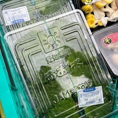 大葉入荷しました！✨