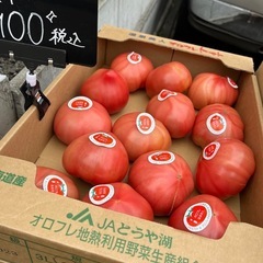 洞爺湖産🍅オロフレトマト