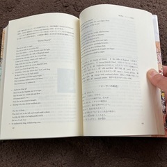はじめて学ぶイギリス文学史の画像