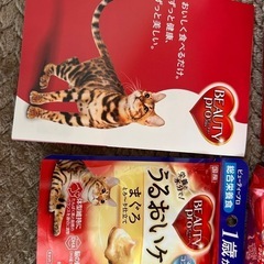 ビューティープロ　キャットフードの画像