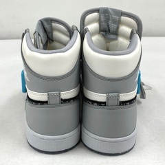 【希少・限定8500足】NIKE × Dior AIR JORDAN 1 HIGH OG（8.5）付属品完備の画像