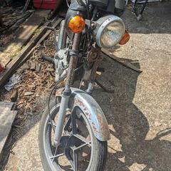マメタン　or50