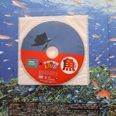 学研の図鑑　魚　美品　DVD付きの画像