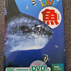 学研の図鑑　魚　美品　DVD付き