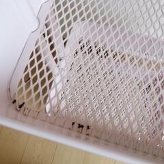 IKEA ロースコグワゴンピンク廃盤カラー (ゆり) 西武園の収納