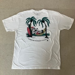 クイックシルバー　メンズTシャツの画像