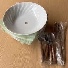 カレー皿（未使用品）長期保管品　お譲りします