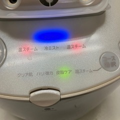 ☆値下げ☆Y2504-586 Panasonic イオンスチーマー ナノケア EH-SA91 2009年製 通電確認済み スチームは未確認 キズ汚れ有りの画像