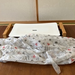 ☆（私1人では使わないので投げ売りです）プリンセス Table Grill Pureの画像
