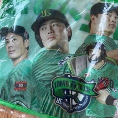 ヤクルトスワローズ　応援ポーチの画像