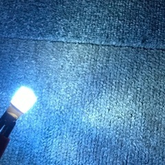 PLAA スカイブルー T10の画像