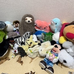 ぬいぐるみ　まとめ売り