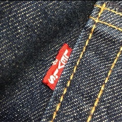 リーバイス赤耳ビックE
の画像