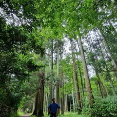 メンタルグル募集*  ੈ✩