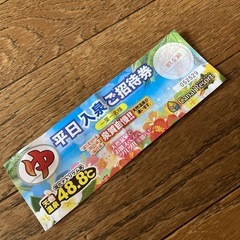 キャナルリゾート平日入泉ご招待券1枚 