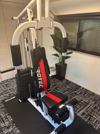 IROTEC (アイロテック) NEWマルチホームジムDX150ポンドタイプV2