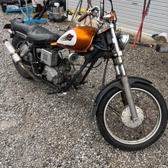 JAZZ 50