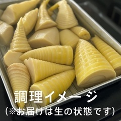 	「【朝掘りたけのこ350円】自然育ちの春の味覚、数量限定！」の画像